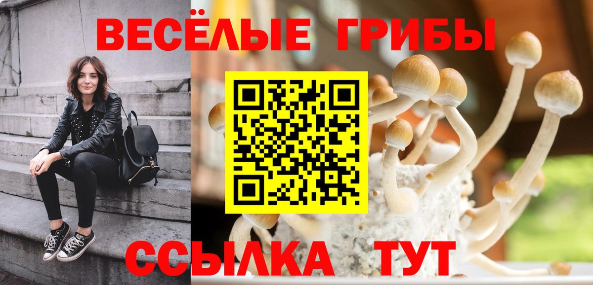 купить наркоту  Галлюциногенные грибы MAGIC MUSHROOMS  Вход с VPN  Реж 