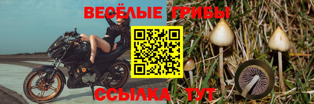 Экстази  Канабис  Вход с VPN  Гашиш  Реж  Меф  