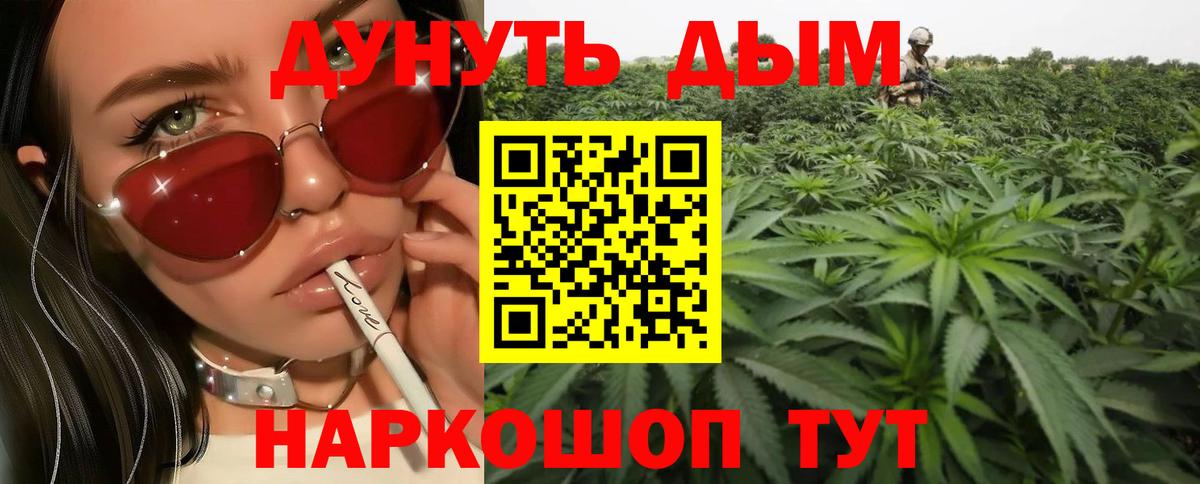Шишки марихуана планчик  Вход с VPN  Бошки Шишки VHQ  Реж 